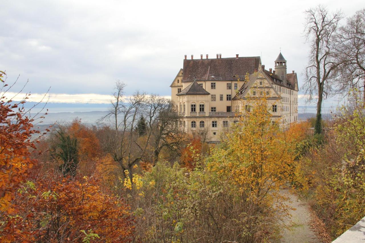 Am Schloss Apartment *